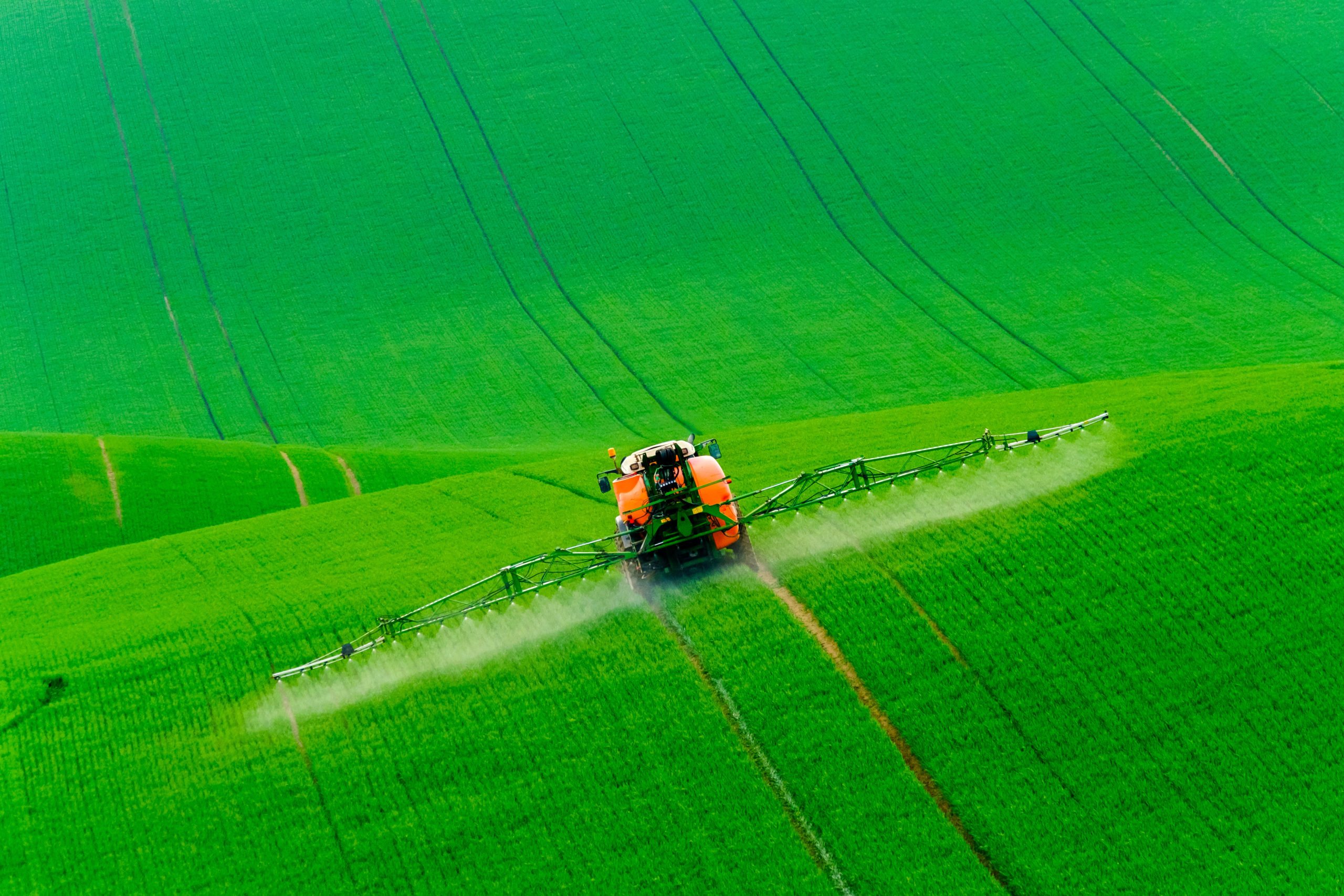 Tractor spraying the chemicals on the green field