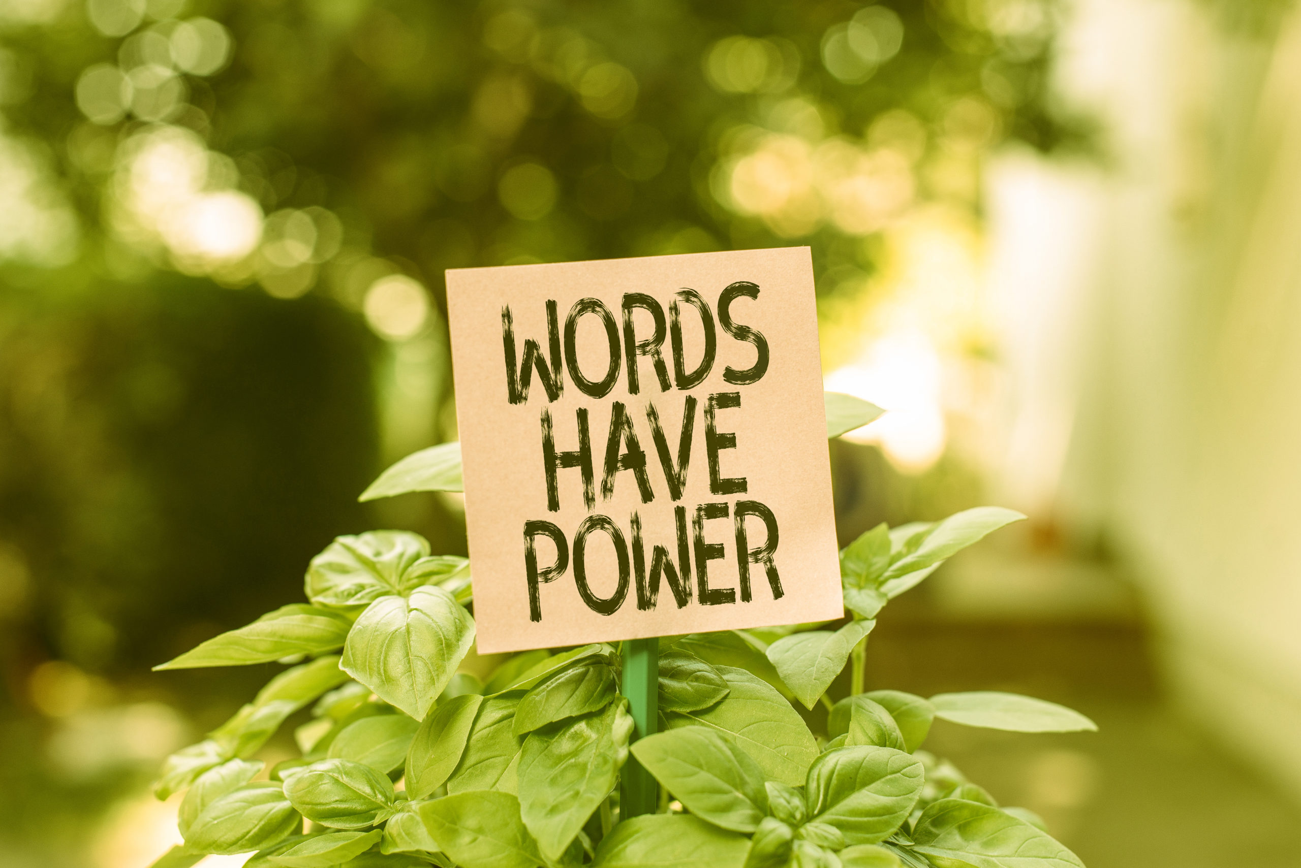 Text sign showing Words Have Power. Business photo showcasing Energy Ability to heal help hinder humble and humiliate Plain empty paper attached to a stick and placed in the green leafy plants